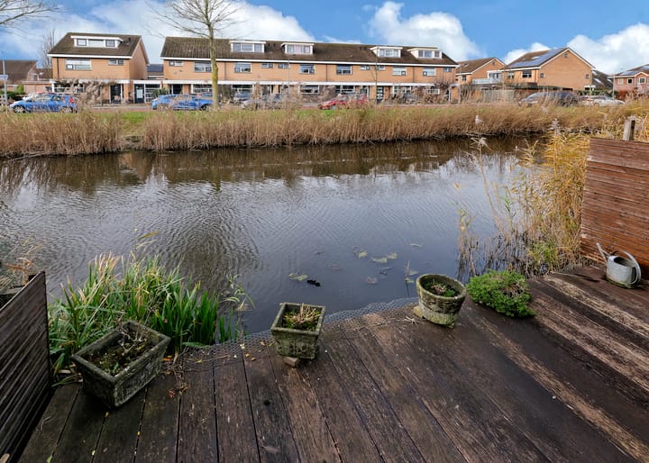 Foto 23 van Zomersloot 39