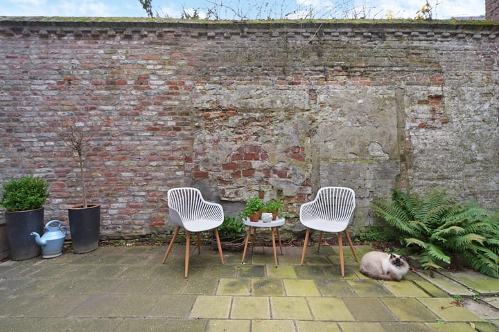 Foto 28 van Dam 51-D