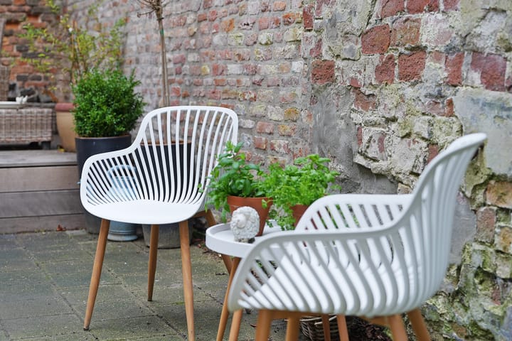 Foto 31 van Dam 51-D