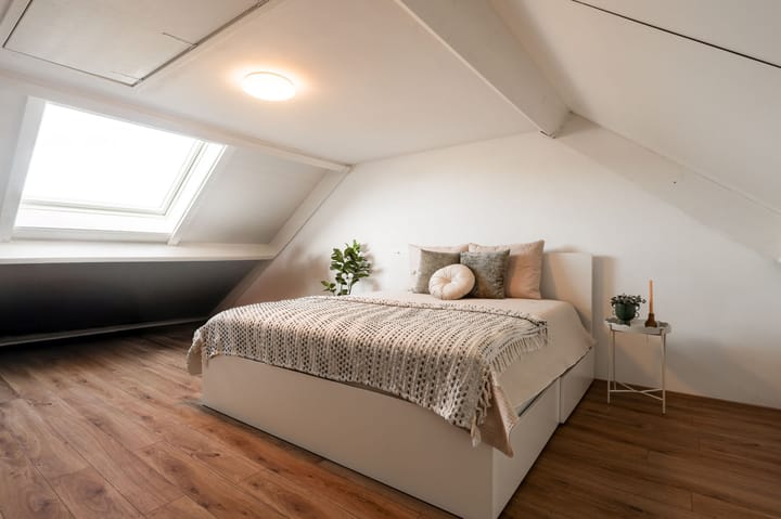 Foto 30 van Paulus Potterstraat 89