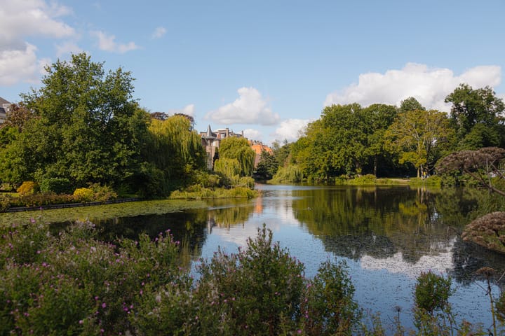 Photo 35 of Van Breestraat 182-A