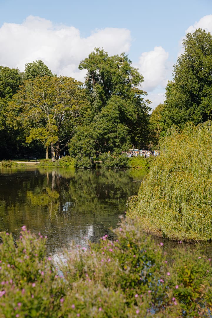 Photo 36 of Van Breestraat 182-A