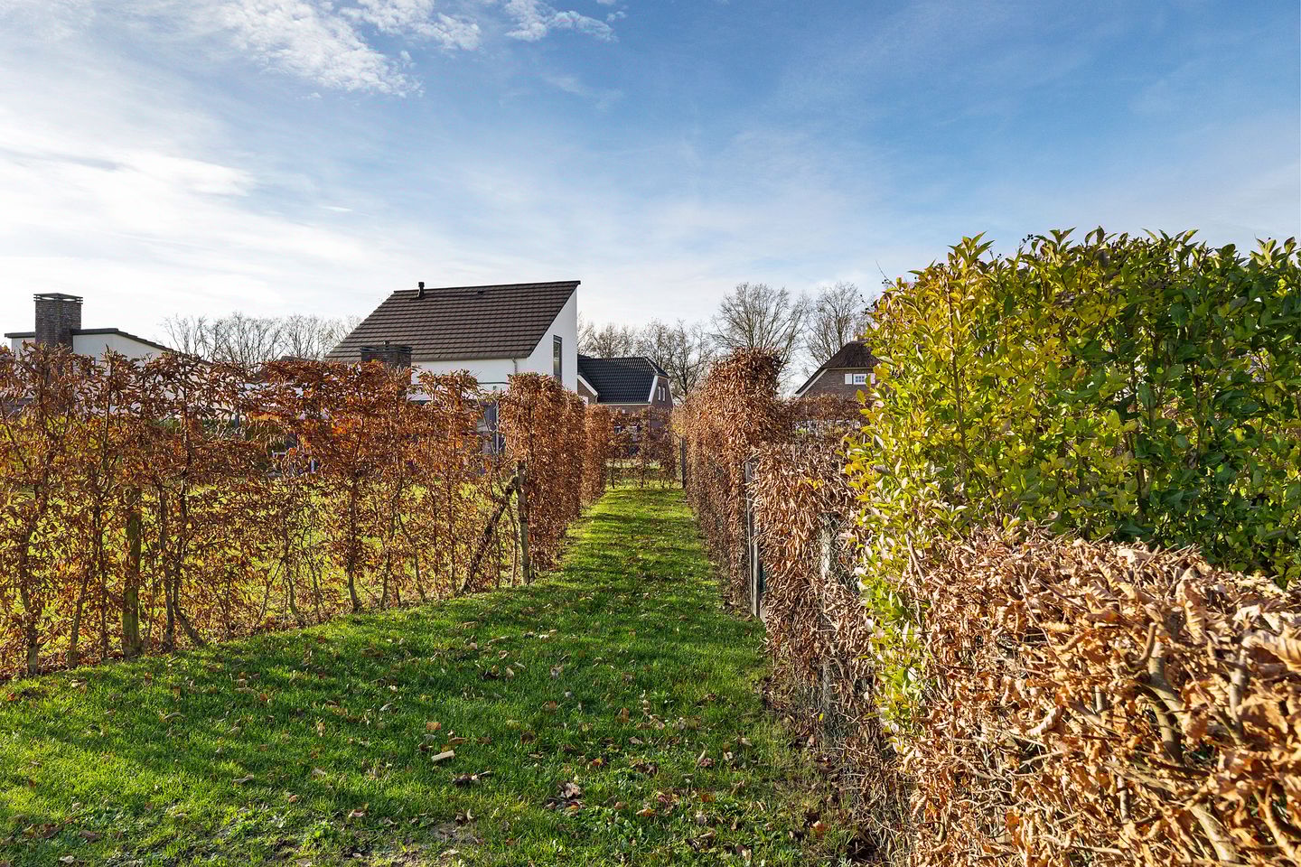 Foto 49 van Buitenhof de Leistert 227