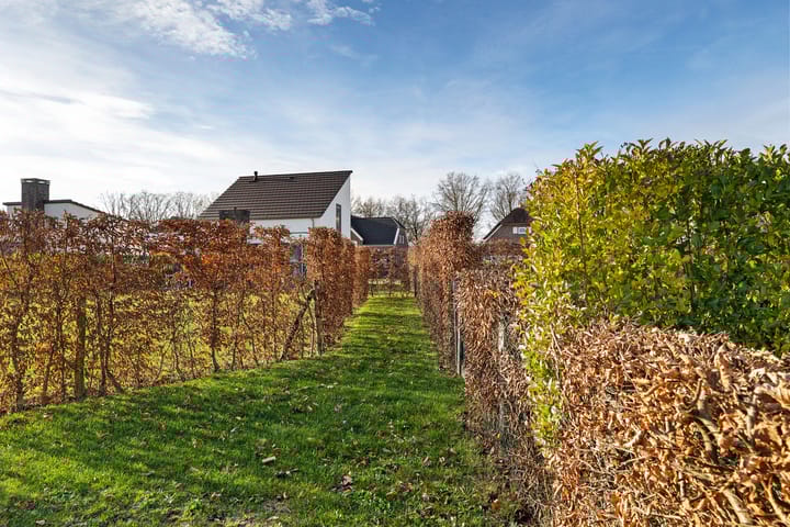 Foto 49 van Buitenhof de Leistert 227