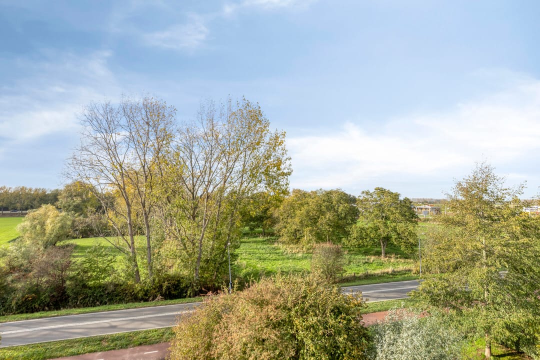 Photo 32 of Weegbreepad 86