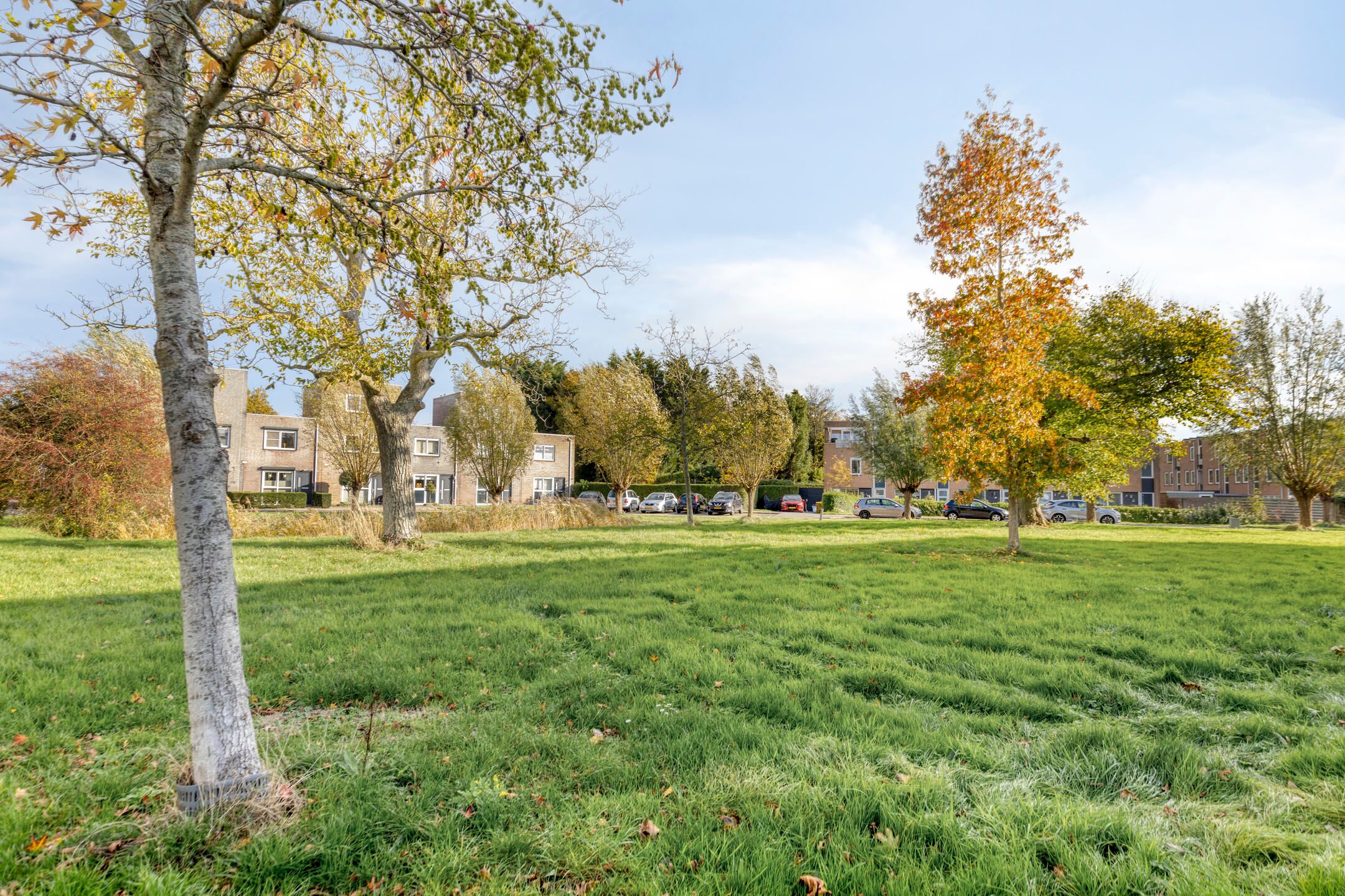 Photo 36 of Weegbreepad 86