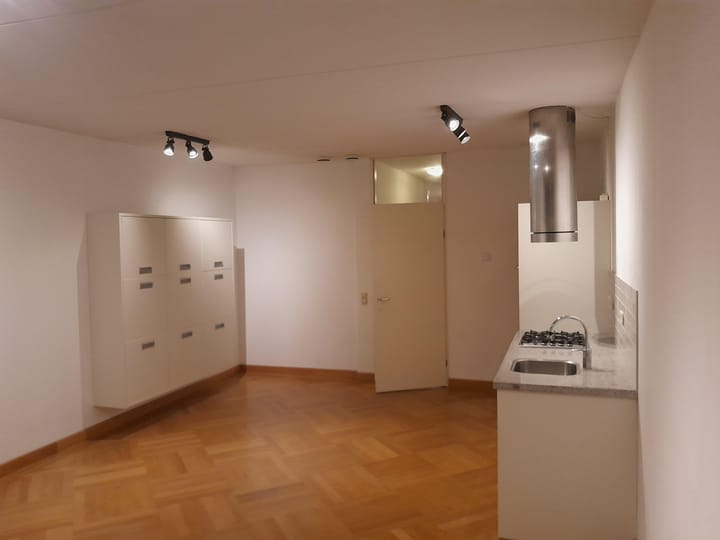 Photo 7 of Plantage Middenlaan 42-B