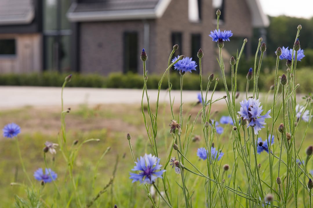 Foto 7 van De Es, kavel 2.2