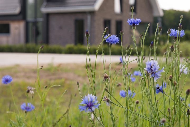 Foto 7 van De Es, kavel 2.2