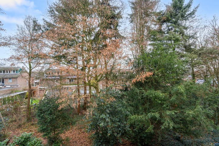 Foto 24 van Diedenweg 77-I