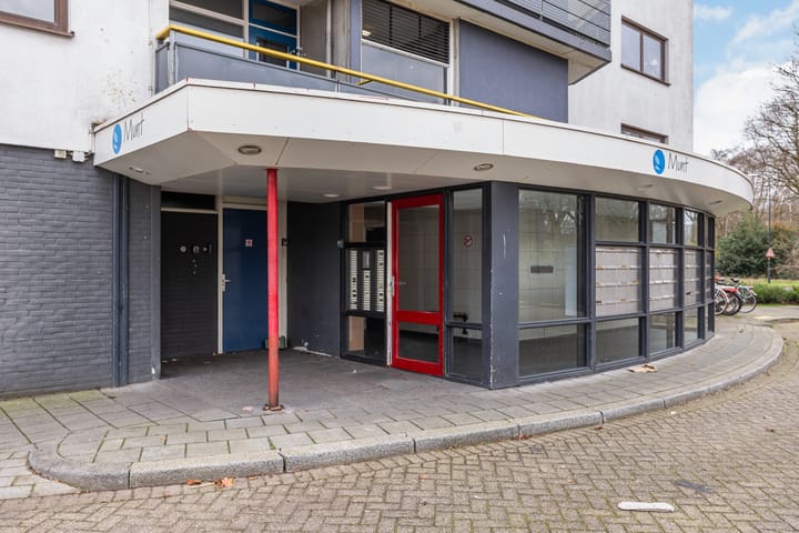 Foto 2 van Kalmoesstraat 55