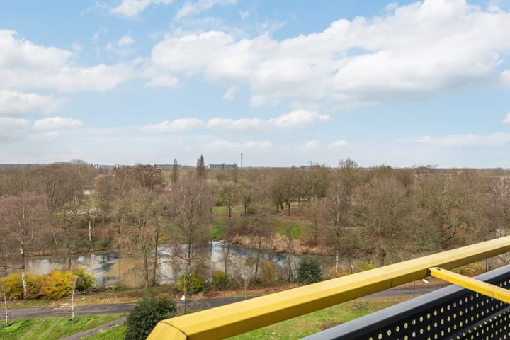 Foto 25 van Kalmoesstraat 55