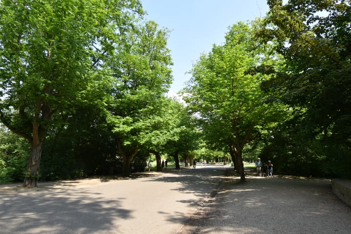 Photo 20 of Johannes Verhulststraat 62-3A