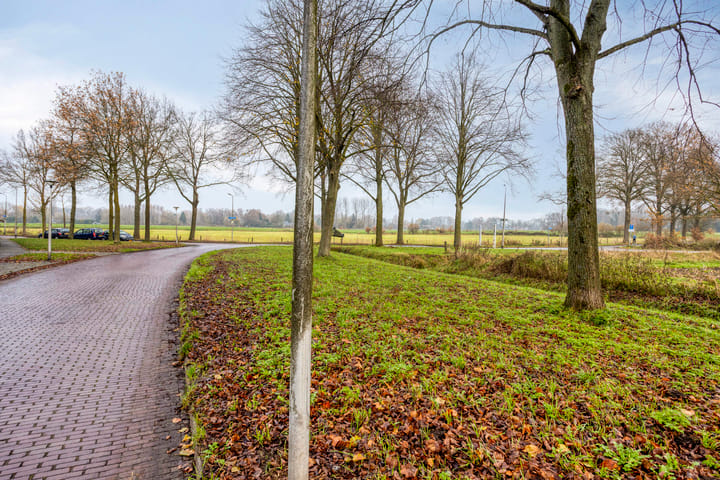 Foto 12 van Kampioenstraat 27