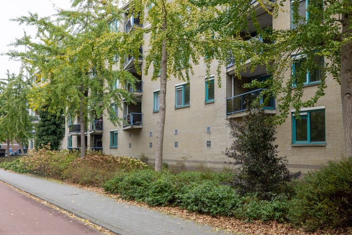 Foto 3 van Etienne de Bouterstraat 37