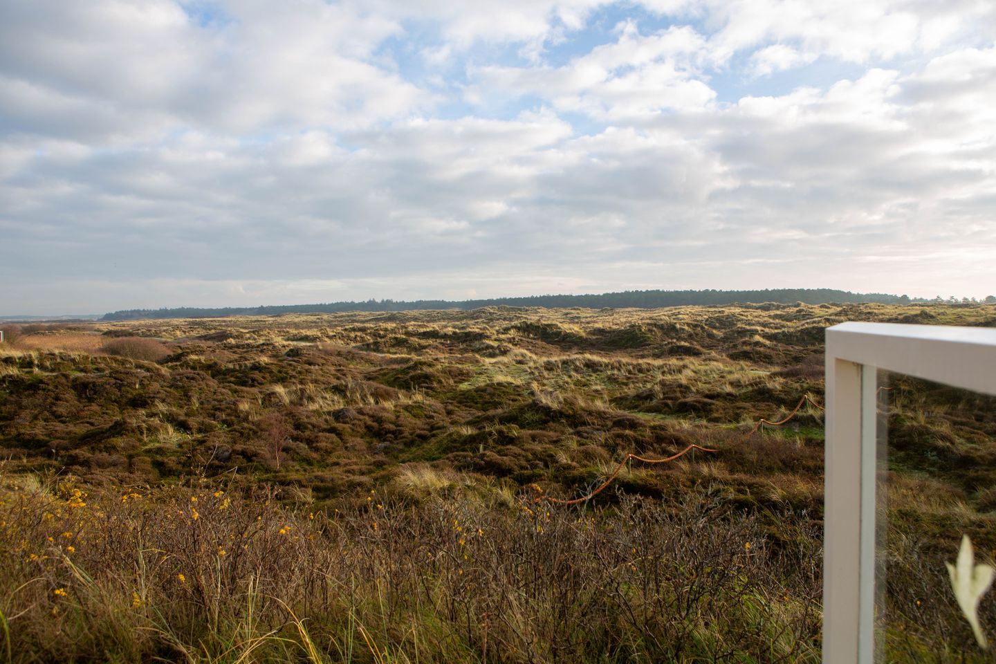 Foto 29 van Midsland aan Zee 314