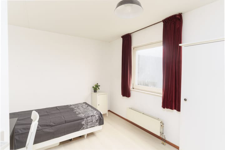 Photo 19 of Van Barenstraat 21