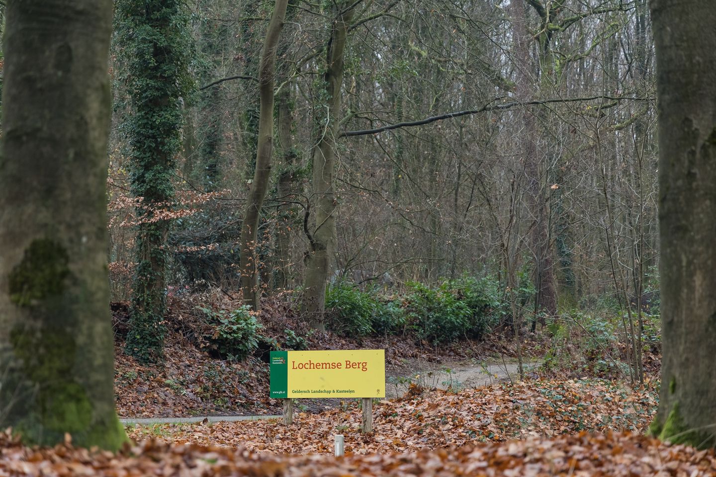 Foto 64 van Barchemseweg 98