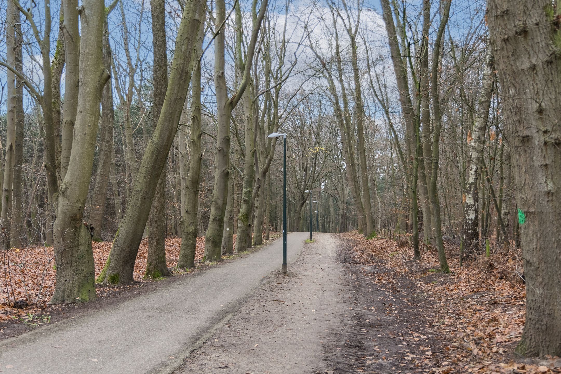 Foto 66 van Barchemseweg 98