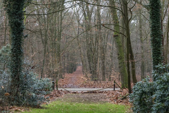 Foto 65 van Barchemseweg 98