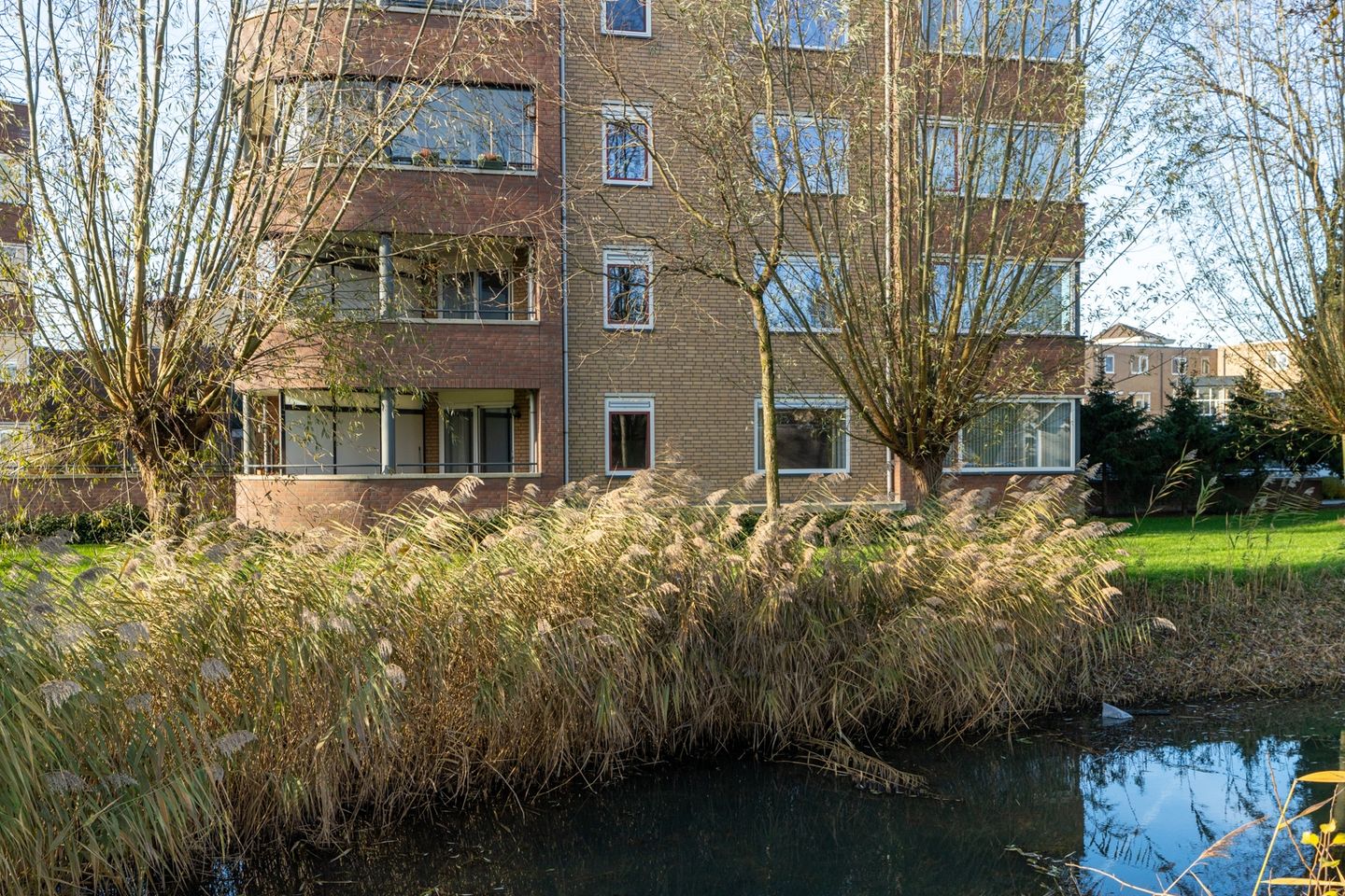 Foto 5 van Meidoornhof 13