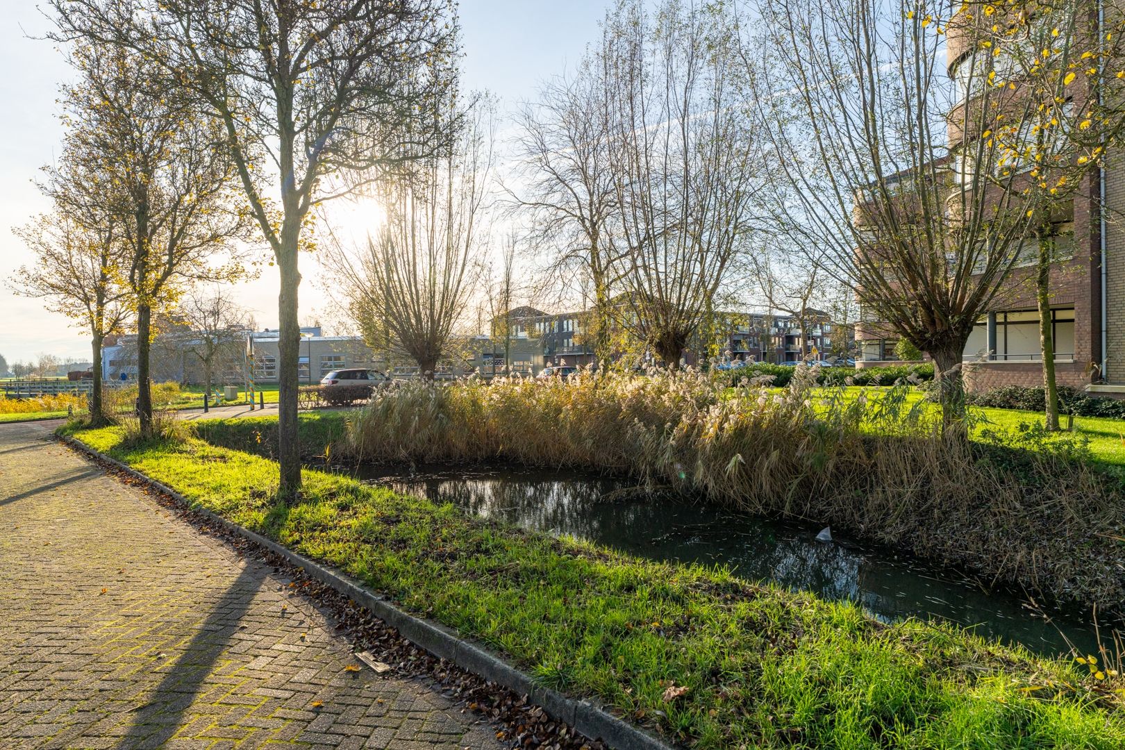 Foto 6 van Meidoornhof 13