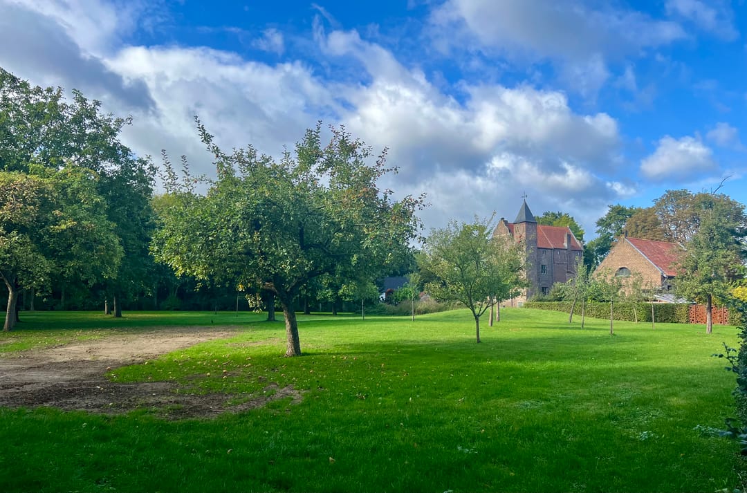 Foto 2 van Tussen de bomen bij de Thooren
