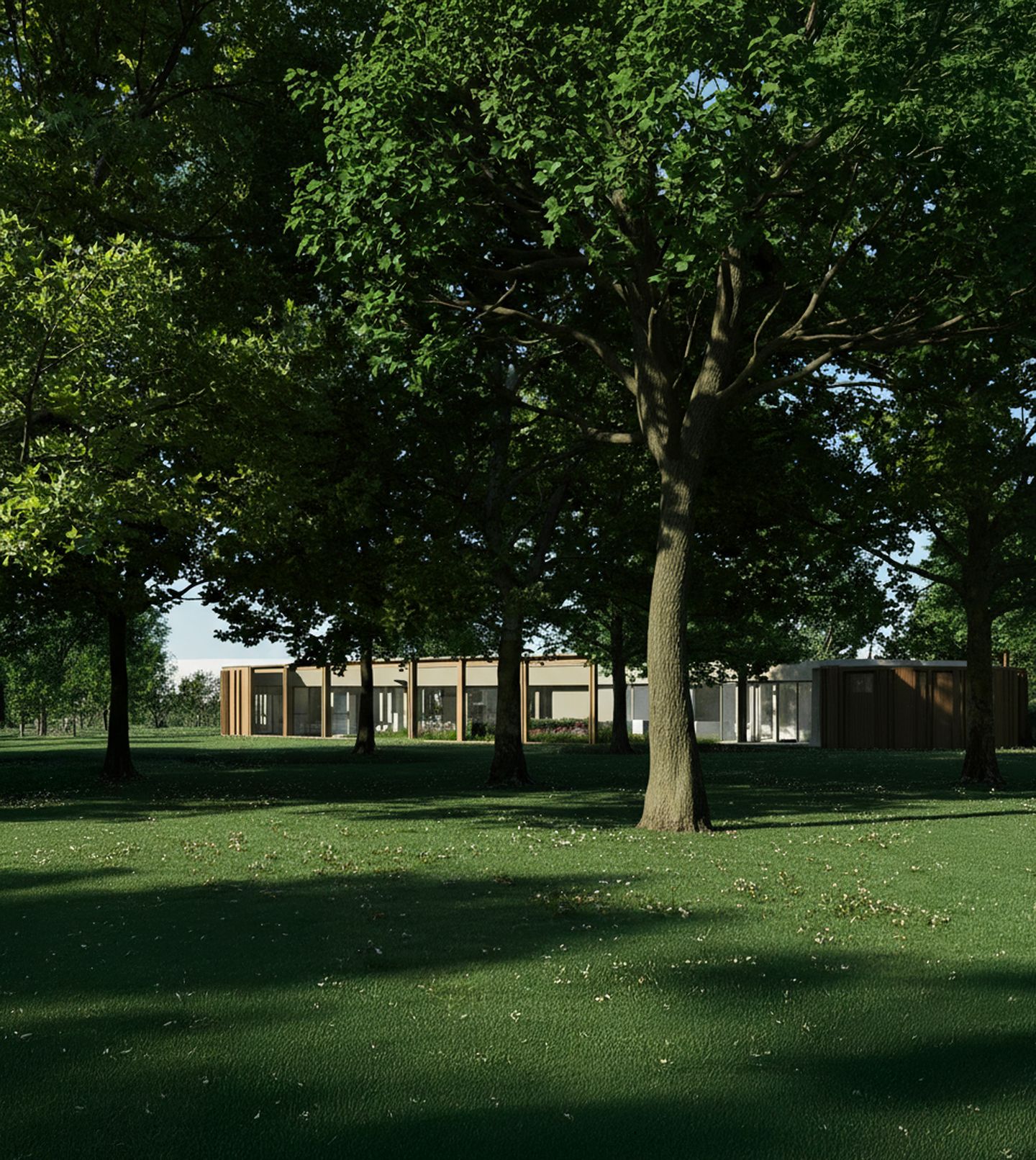 Photo 9 of Tussen de bomen bij de Thooren