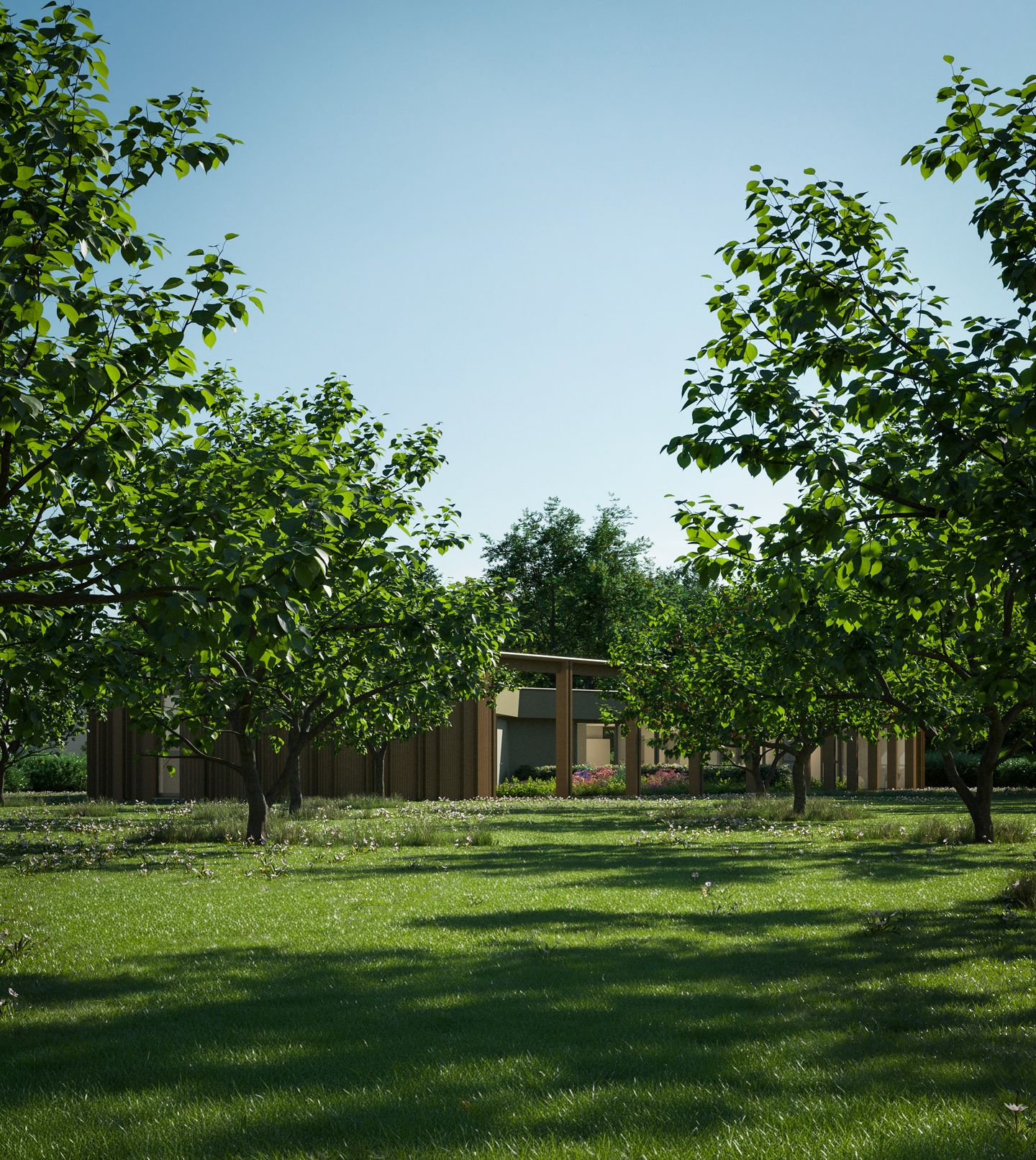 Photo 10 of Tussen de bomen bij de Thooren