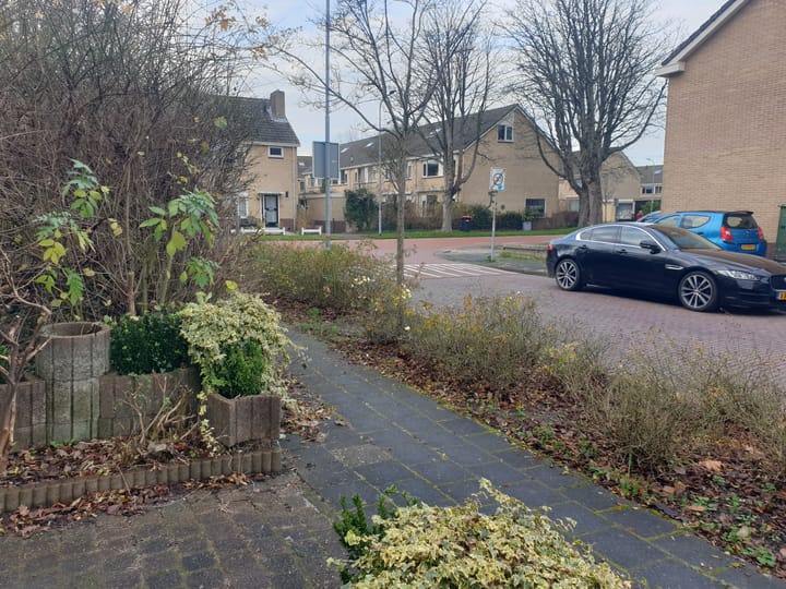 Foto 3 van Meidoornstraat 10