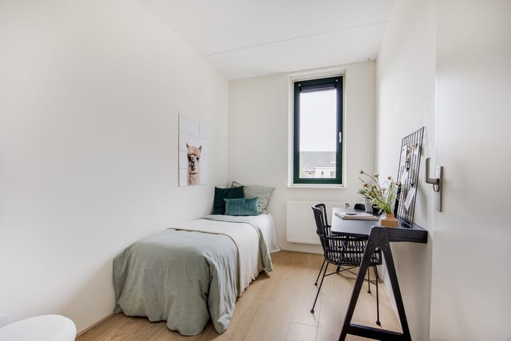 Photo 18 of Remiseplantsoen 11