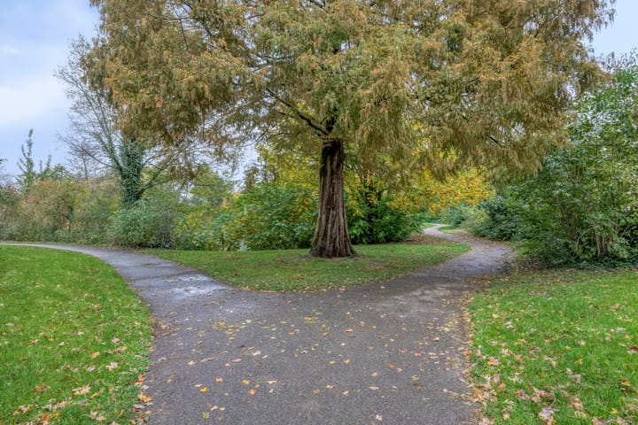 Foto 46 van Elzepas 39