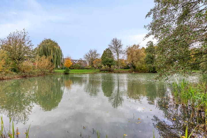 Foto 47 van Elzepas 39