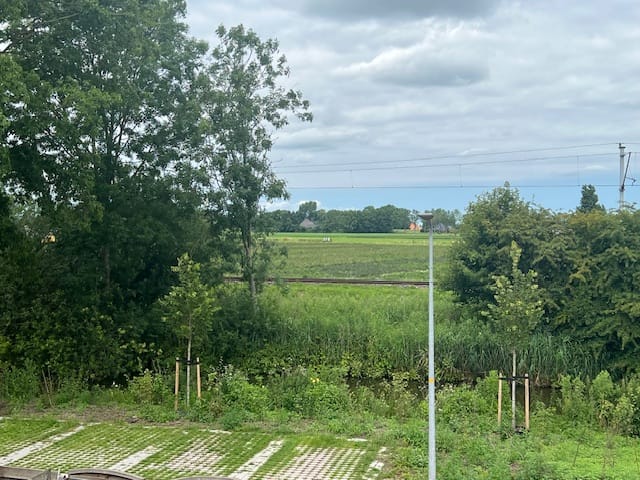 Photo 4 of Boeier 16