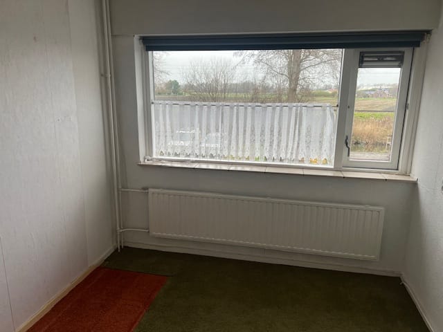 Photo 19 of Boeier 16