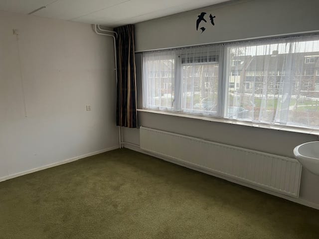 Photo 21 of Boeier 16