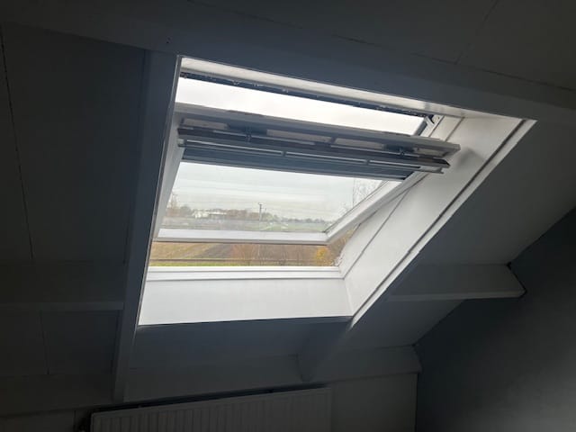 Photo 23 of Boeier 16