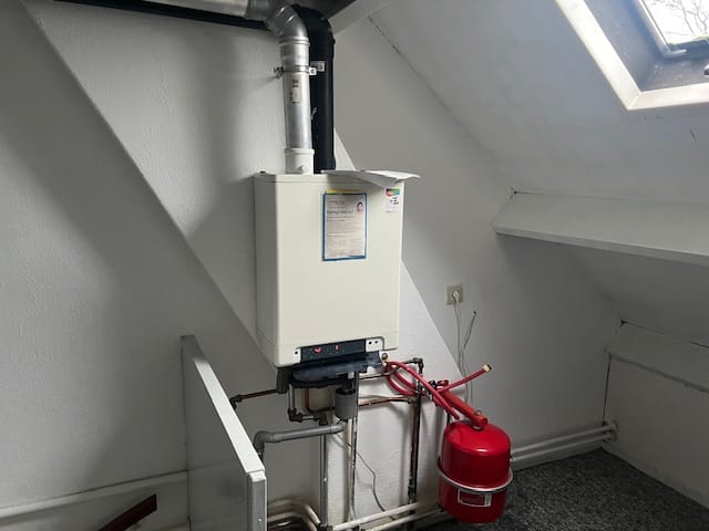 Photo 24 of Boeier 16