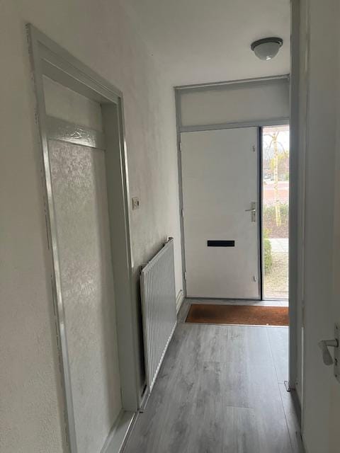 Photo 8 of Boeier 16