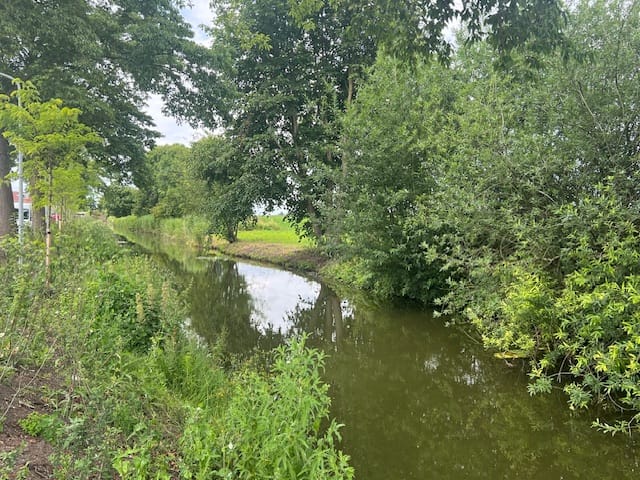 Photo 5 of Boeier 16