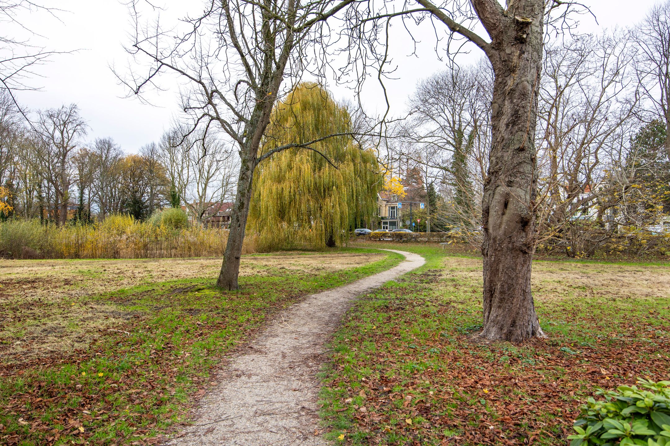 Foto 36 van Rijnsburgerweg 99