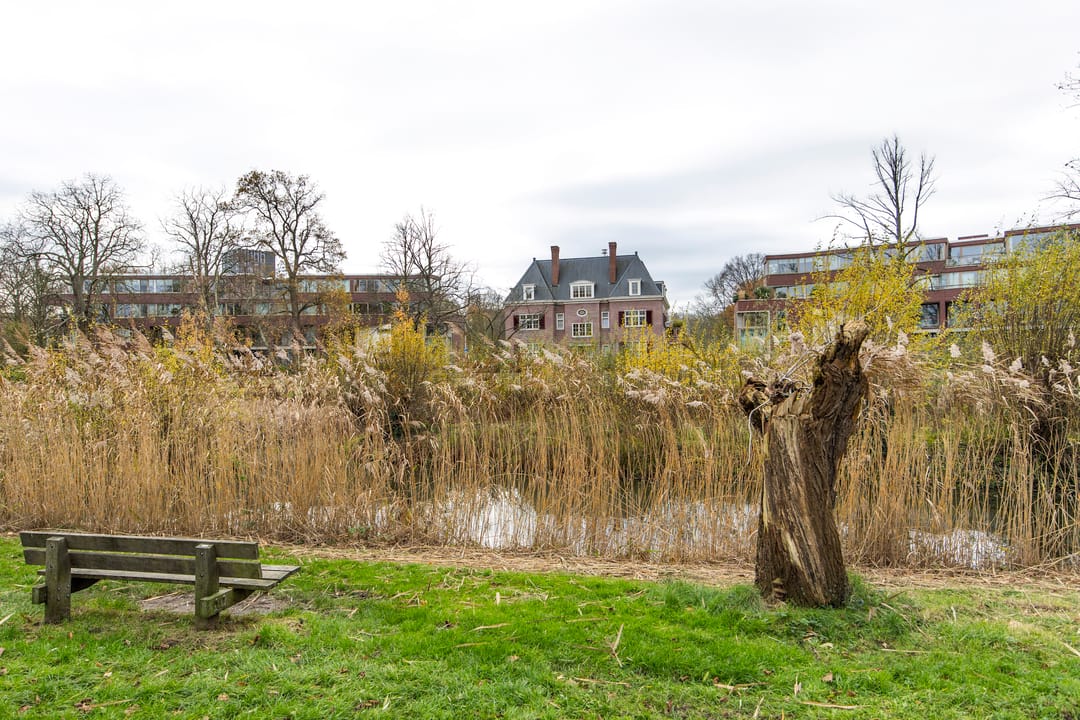 Foto 37 van Rijnsburgerweg 99