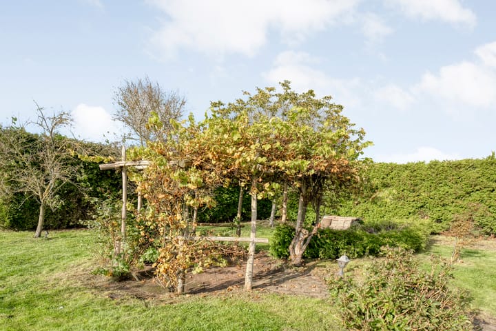 Photo 59 of Nieuwe Krim 37