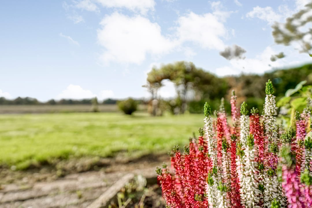 Foto 62 van Nieuwe Krim 37