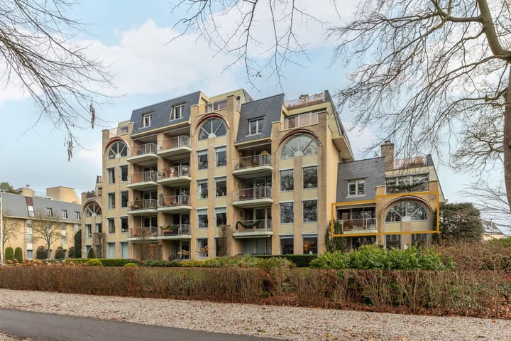 Foto 3 van Loolaan 368