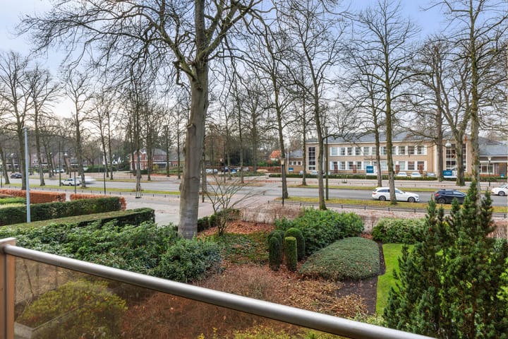 Foto 16 van Loolaan 368