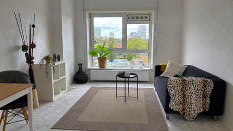 Theodorus Dobbestraat thumbnail