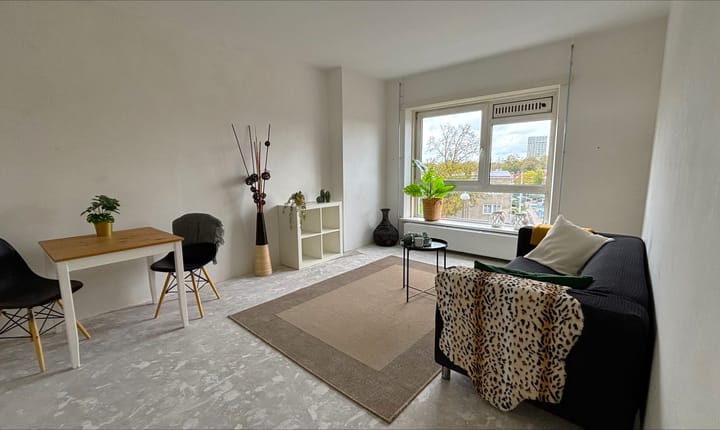 Foto 3 van Theodorus Dobbestraat 78-3