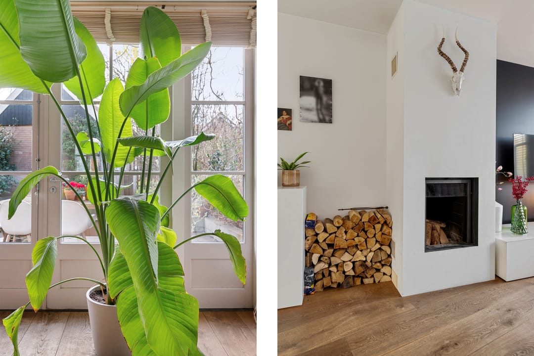 Foto 7 van Rozendaal 10