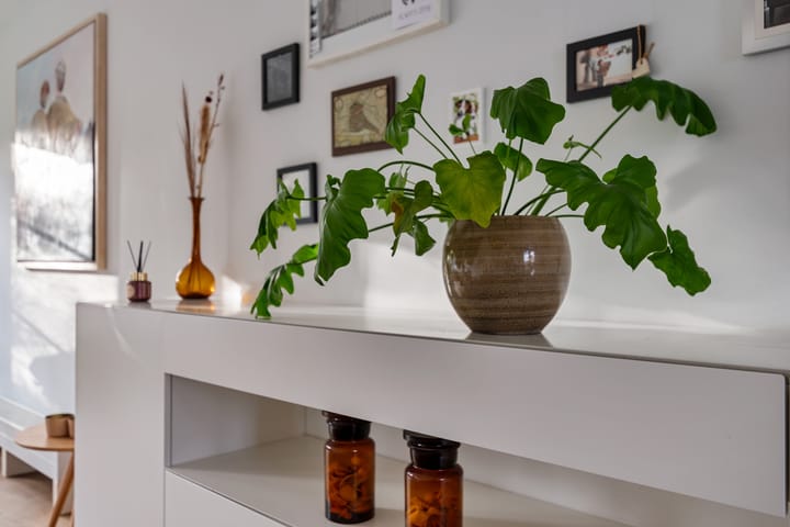 Foto 18 van Rozendaal 10